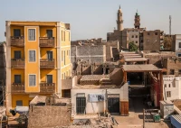 Pink Pineapple: Benny Blanco's Latest PR Stunt? - Reddit's Obsessed