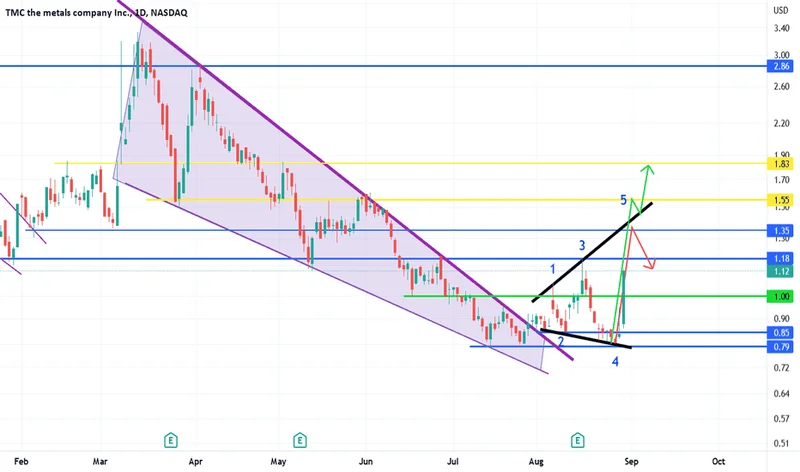 TMC Stock: Price and News – Reddit's Take